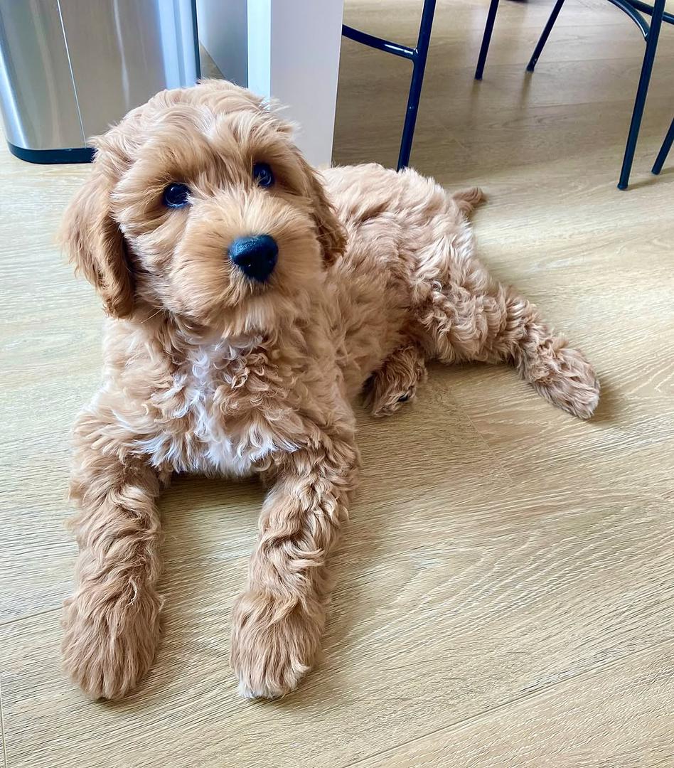 whatsapp image 2025 12 22 at 9.06.52 am